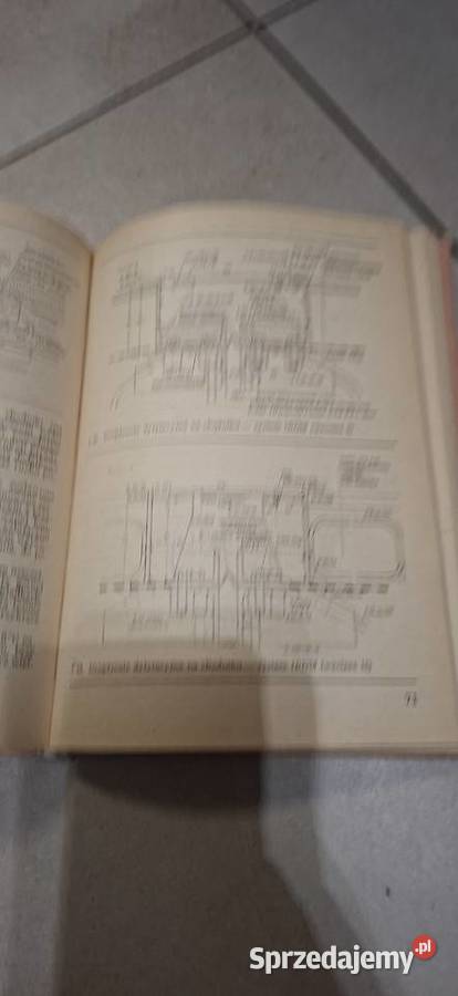 Ochrona Mostów Przed Korozją 1 wydanie niski wielkopolskie Łęczyca