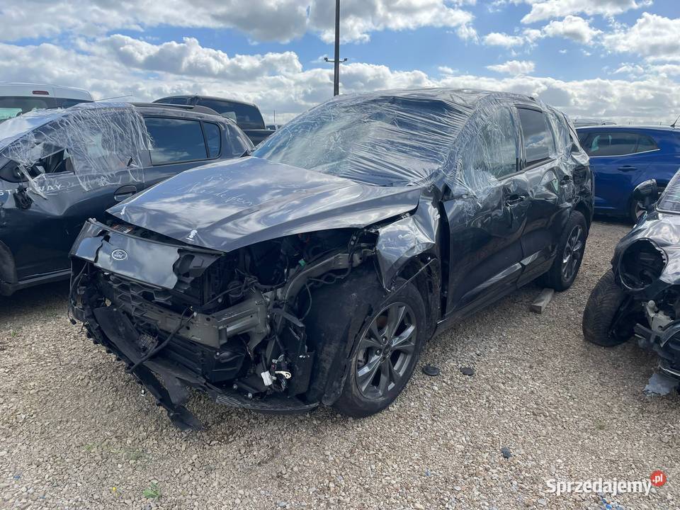 FORD Kuga 25 duratec 190 FHEV GG208 Katowice sprzedam