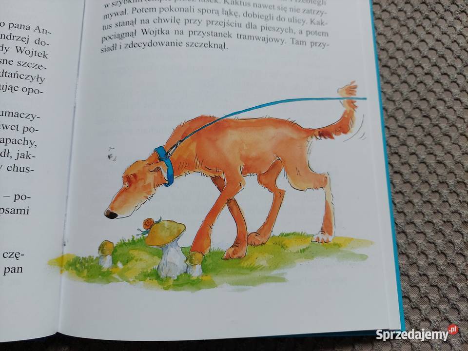 Kaktus wierby przyjaciel Barbara Gawryluk Kraków sprzedam