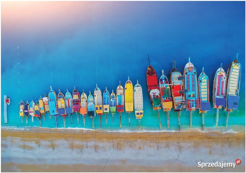 Tapeta fototapeta Plaża palmy morze widok Leszno