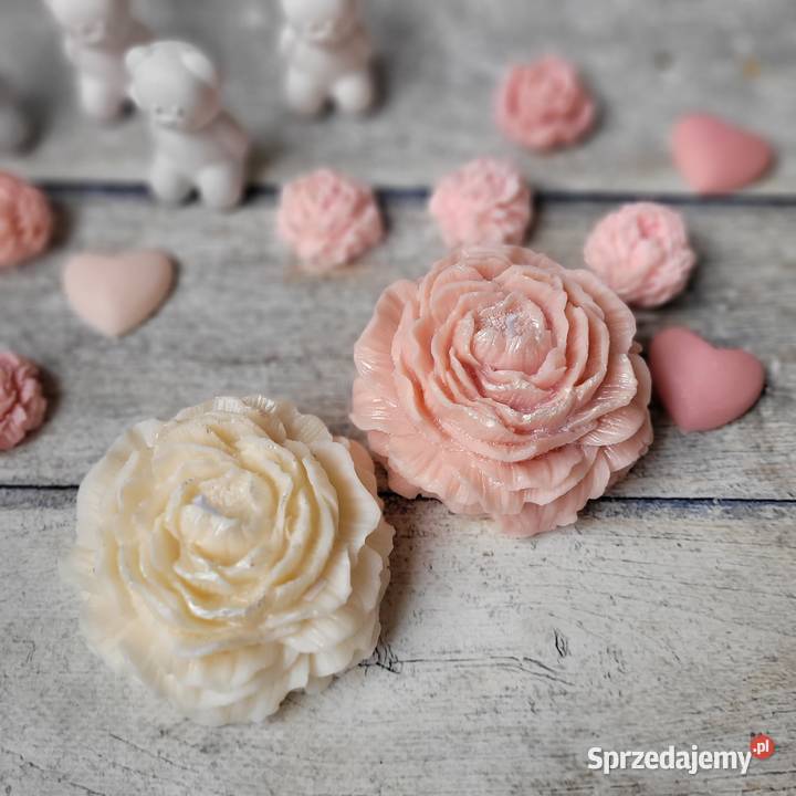 Świeca sojowa Piwonia Poznań