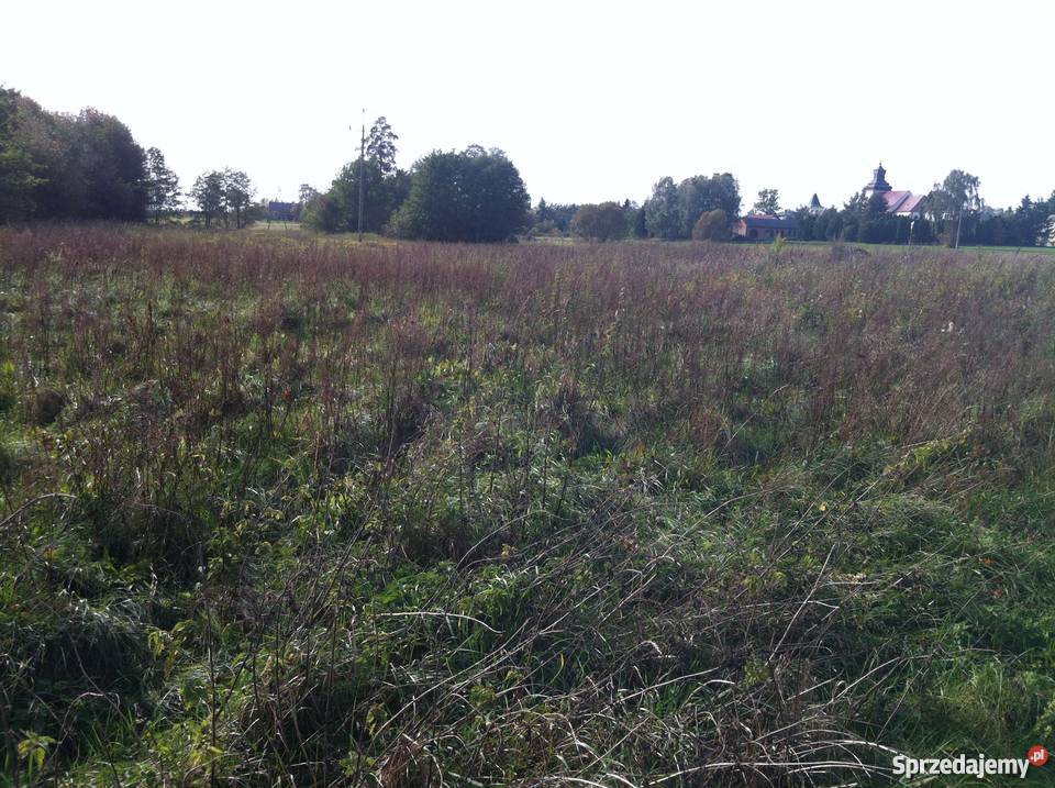 PIekna tania działka budowlana pod Warszawą gaz mazowieckie Żelechów