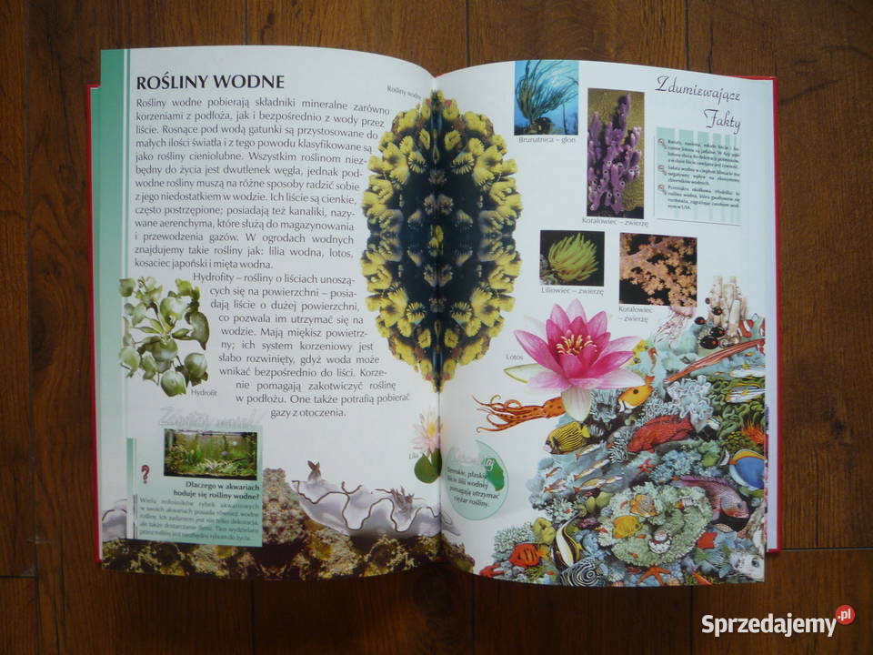 NOWA Ilustrowana encyklopedia Rośliny Książka zachodniopomorskie Szczecin