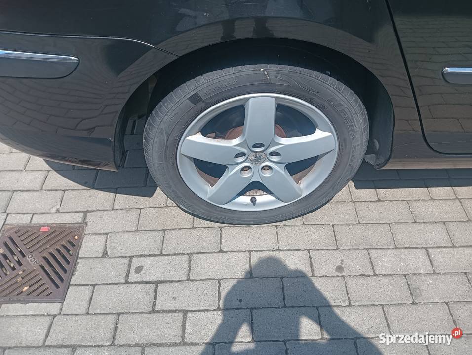 Peugeot 407 SW 2005 Rzeszów