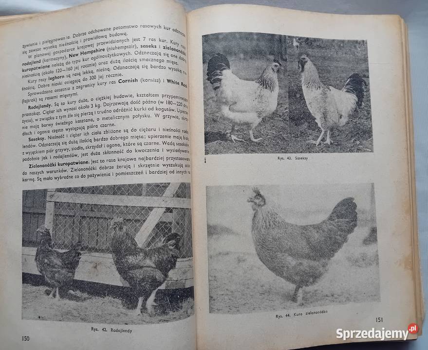Poradnik gospodarski PWRiL 1960 r Wydanie II Koźminek
