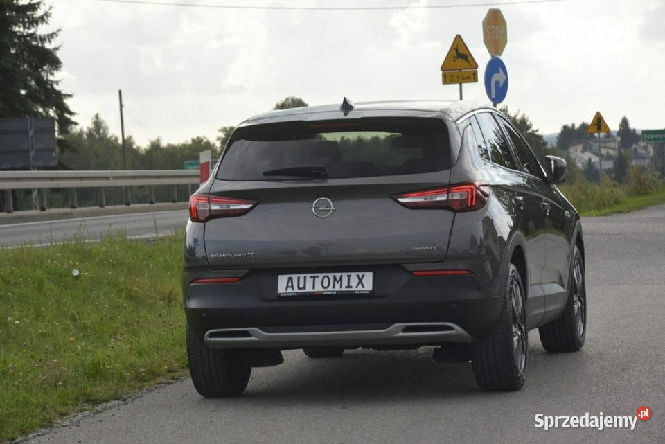 Opel Grandland X 15 D nawi Asist Park Android 173501km Sędziszów Małopolski