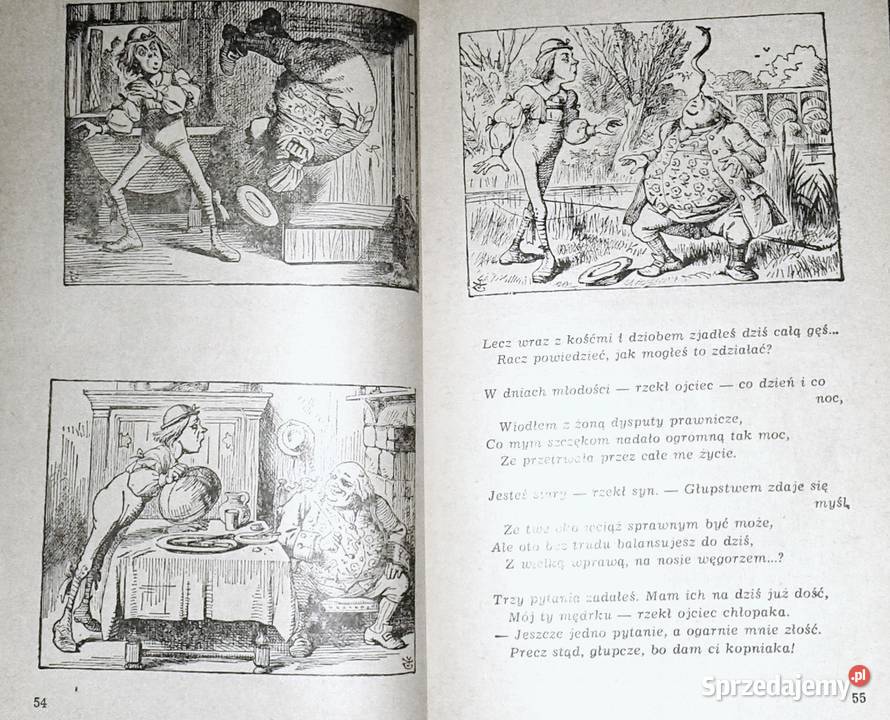 Przygody Alicji w Krainie Czarów Lewis Carroll miękka Pozostałe