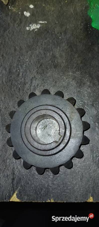 Koło zębate stożkowe Kalisz