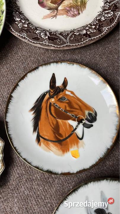 Talerz z koniem Do powieszenia Gdańsk