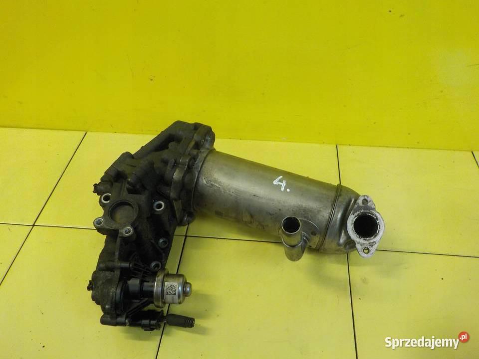 TRANSIT 20 TDCI ECOBLUE 18r 105 chlodnica spalin świętokrzyskie