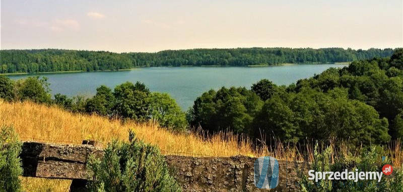 Działka 50600m2 Udziejek rolna sprzedam