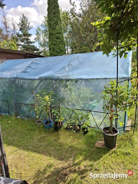 Sprzedam działkę Sprzedaż Wola Mrokowska