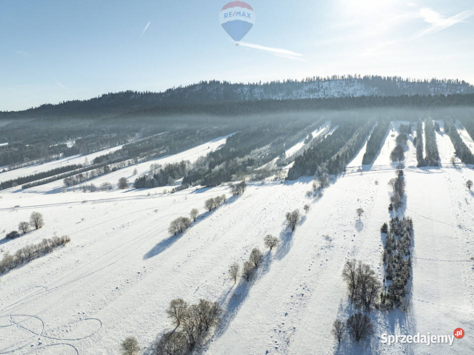 Pakiet działek w Frydmanie Sprzedaż Frydman
