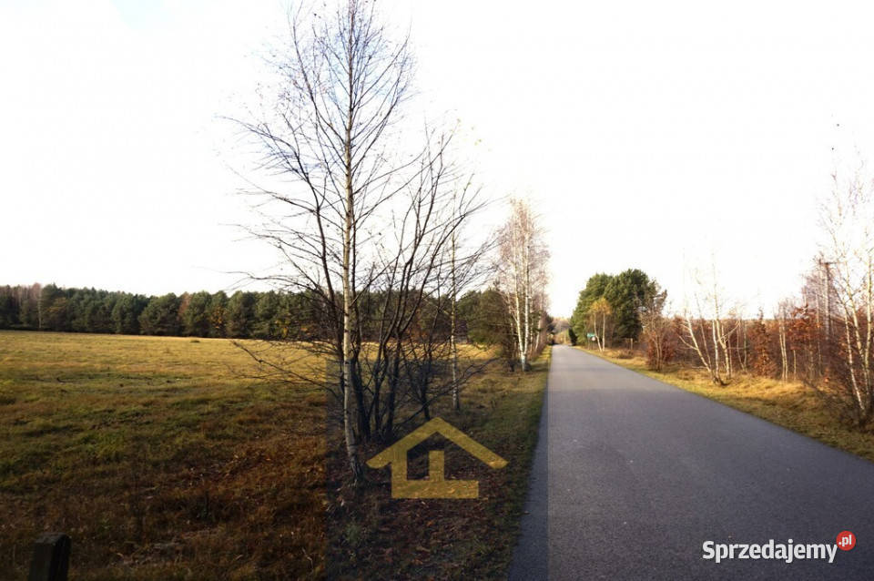 Działka z linią brzegową jeziora Sprzedaż Ruś Mała