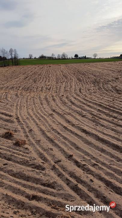 Sprzedam działkę z WARUNKAMI ZABUDOWY o 30zł/m2 sprzedam