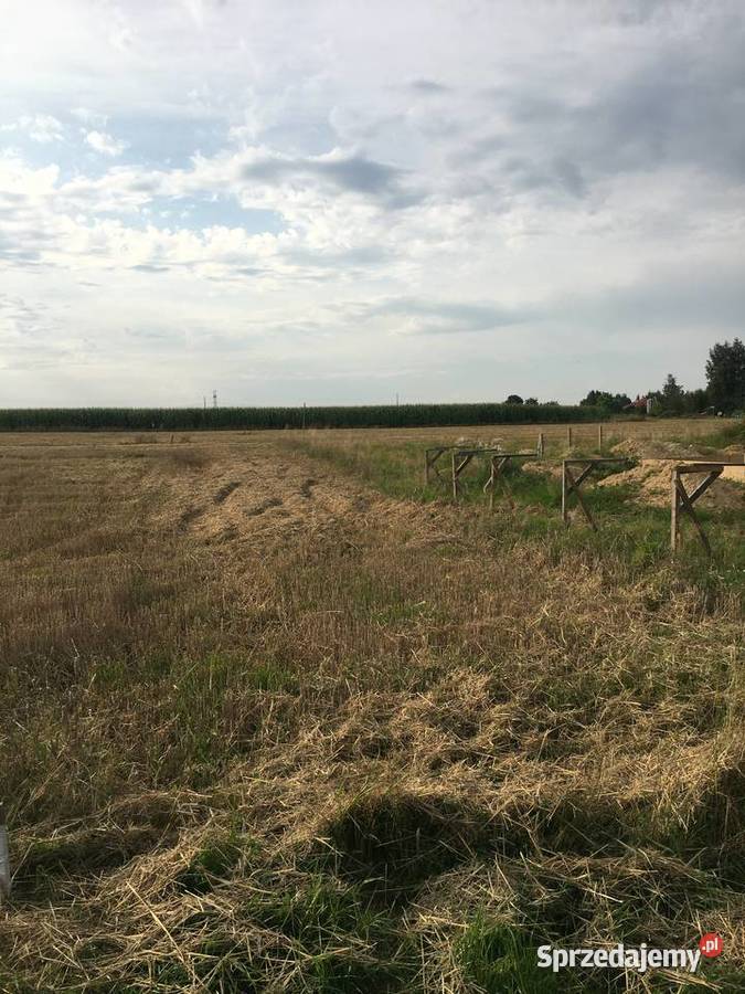 Sprzedam działkę w Polance Wielkiej małopolskie Polanka Wielka