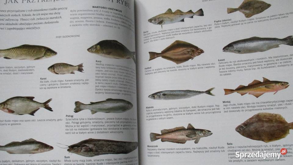 Wielki poradnik rodzinny dom hobby zdrowie Łódź