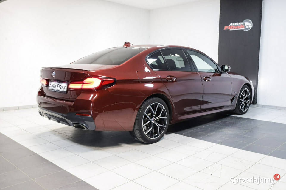 BMW 520 LCI190xDriveMpakietSalon PolskaI Konstantynów Łódzki