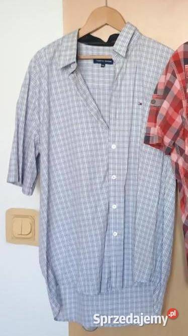 zestaw 3 koszul XL lacoste pierrecardin hilfiger Rozmiar XL Poznań sprzedam