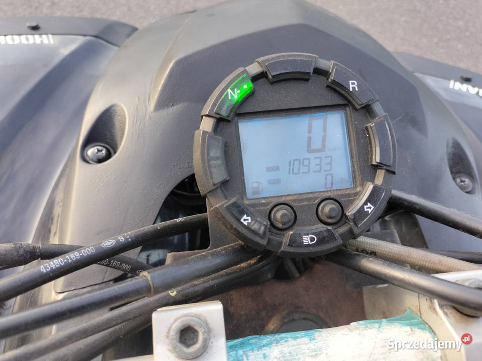 Beeline bestia 33 lucky star adly Access Access sprzedam