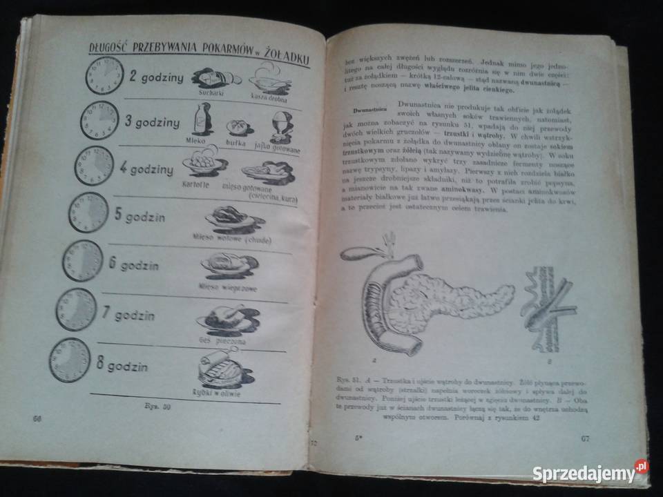 Nauka o człowieku klVII 1962r autorzyJWernerowa Książki i Podręczniki Łódź