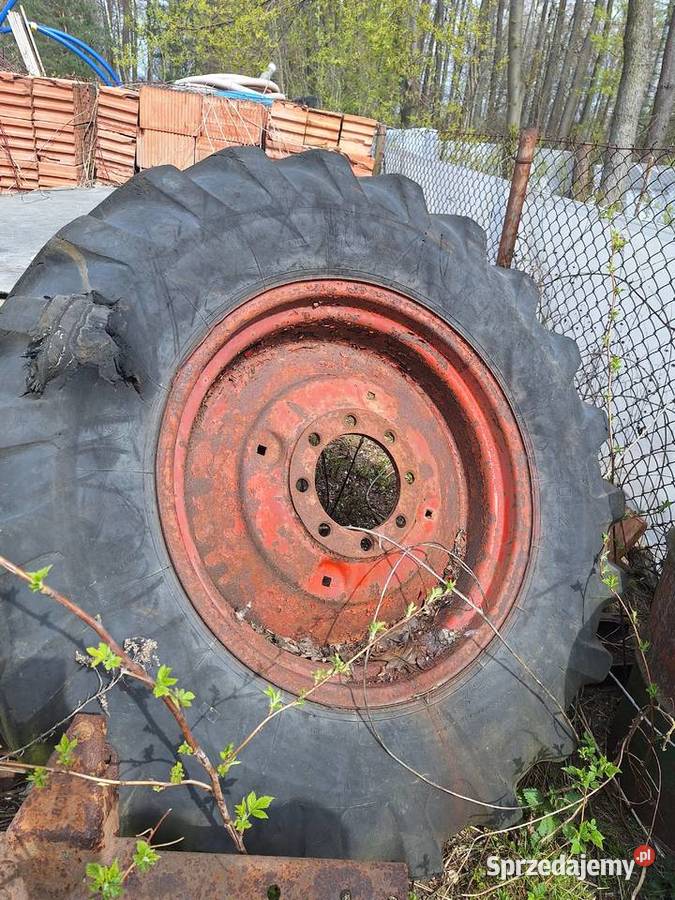 Koła Białoruśki mazowieckie Mińsk Mazowiecki