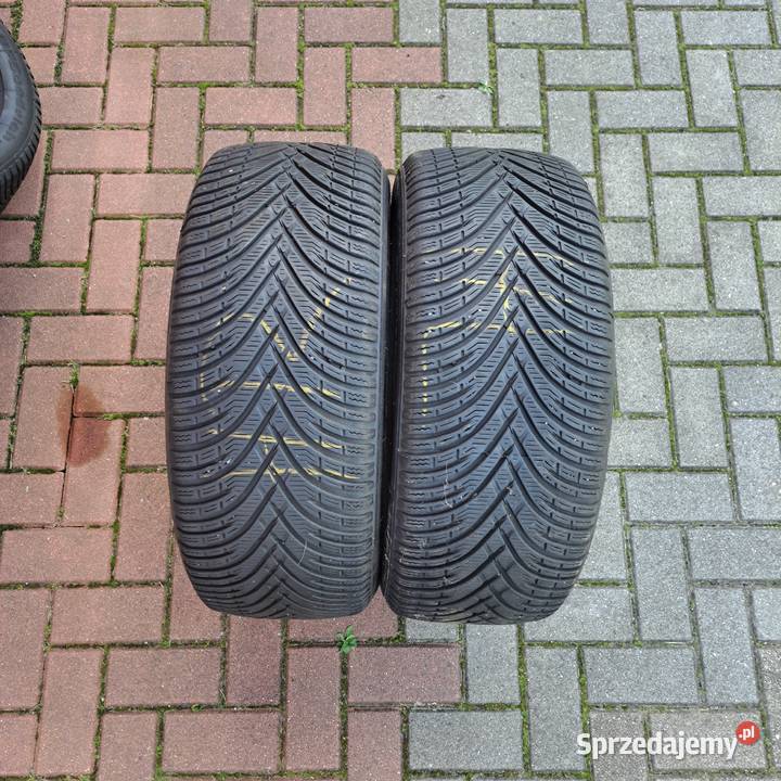 Opony Zimowe BFGoodrich 22550R17 Niwica