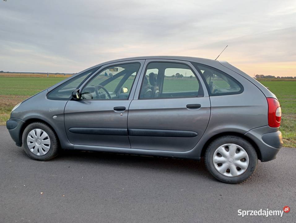 Citroen Xsara Picasso 20 HDI stary ale jary Xsara Picasso Moraczewo