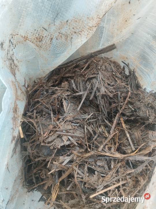 Obornik koński w workach Sobolewo