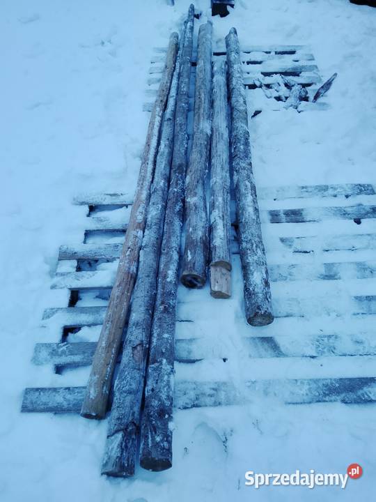 Stemple budowlane sosnowe jodłowe suche metr Mirzec