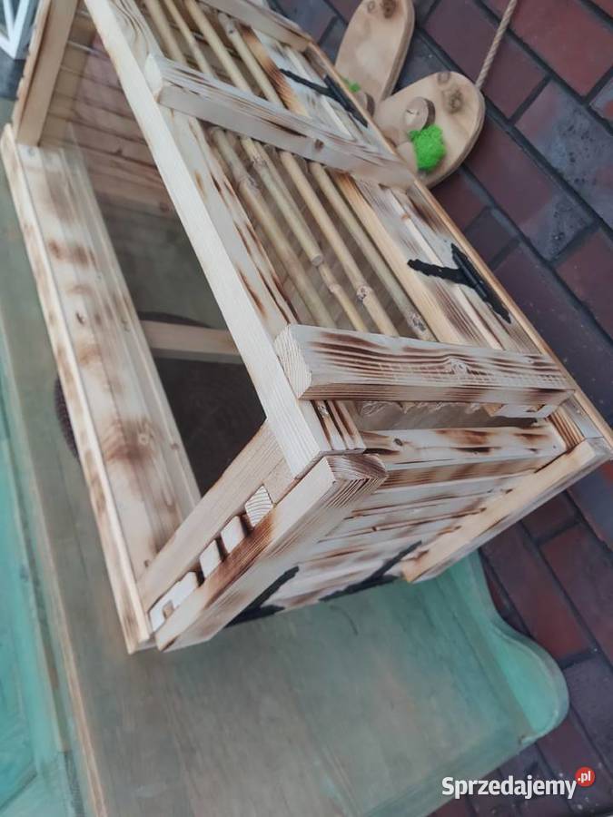 Terrarium żółwia jeża pigmejskiego Opole