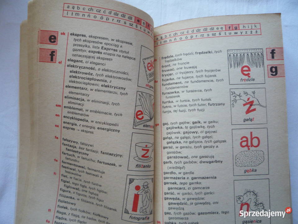Ilustrowany słownik ortograficzny klas 13 E Książki dla dzieci Szczecin