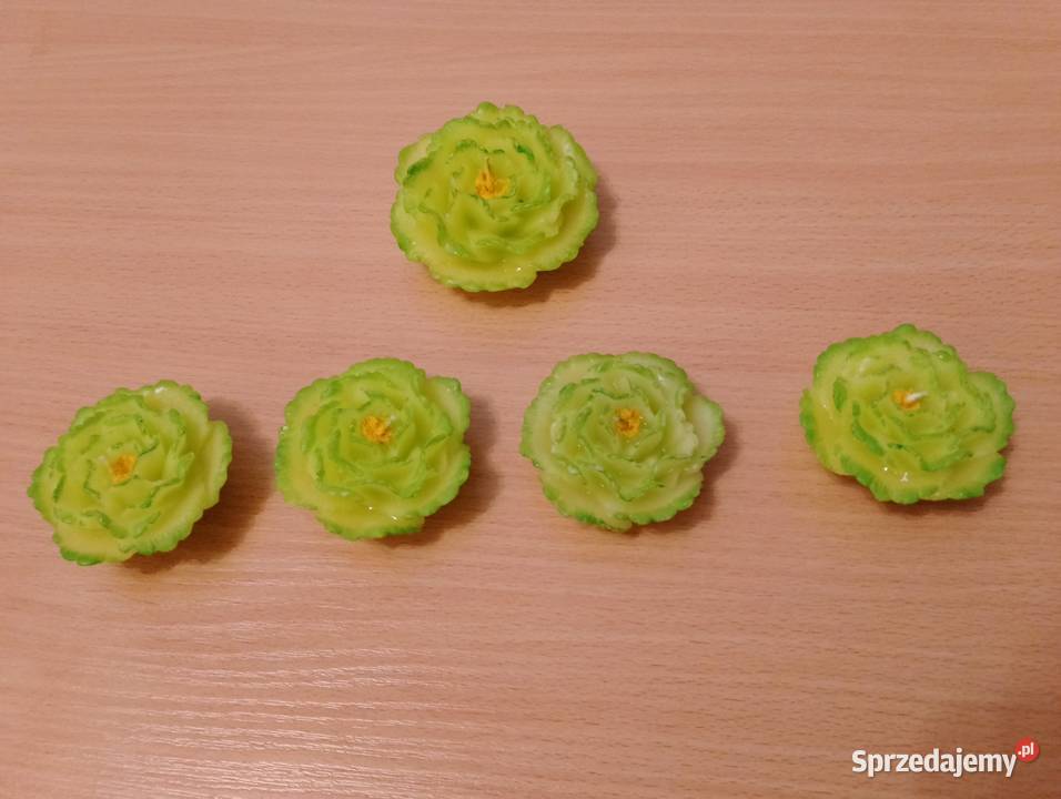 ŚWIECE pływające 5 sztuk zielone kwiatki odcienie zieleni wielkopolskie Złotniki sprzedam