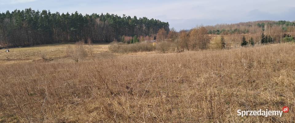 Działka budowlana na sprzedaż uzbrojona Kleszczewo
