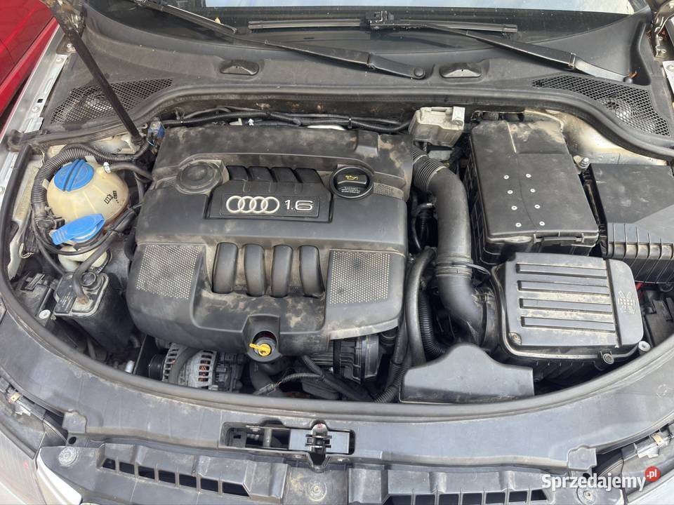 Audi a3 p8 16 LPG