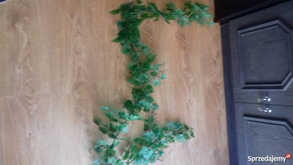 Girlanda z liśćmi dekoracje wnętrz Iława sprzedam