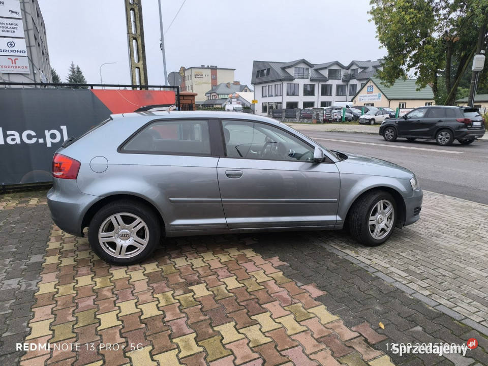 Audi A3 16 MPi 102 Klimatyzacja 8P 20032012 Łuków