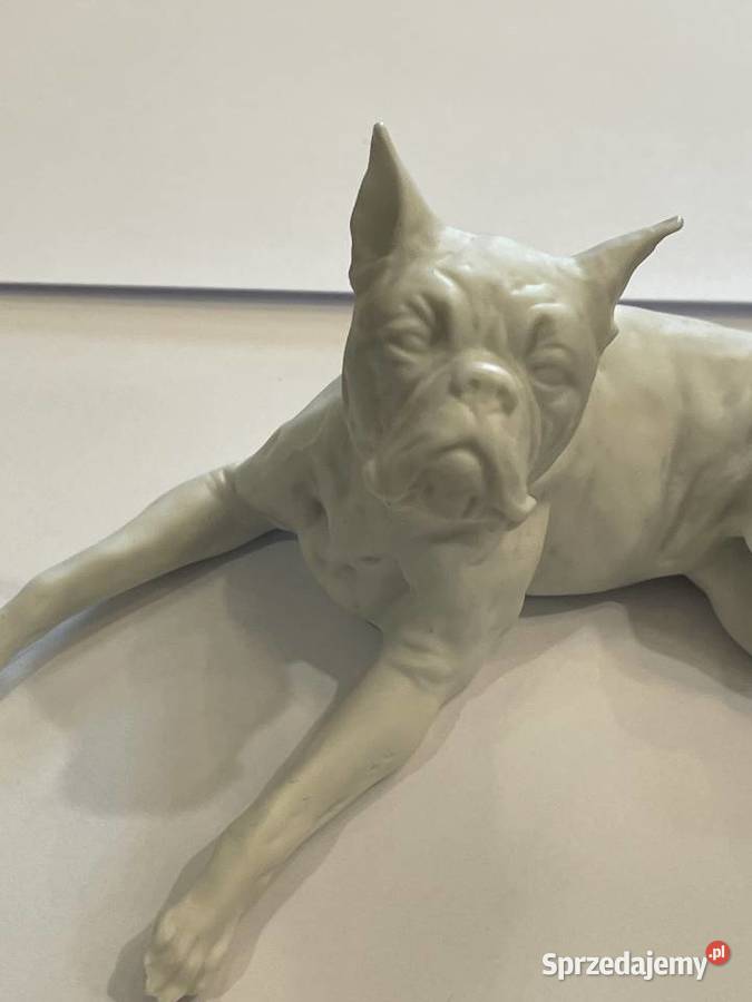 Figurka psa chart porcelana biskwit małopolskie