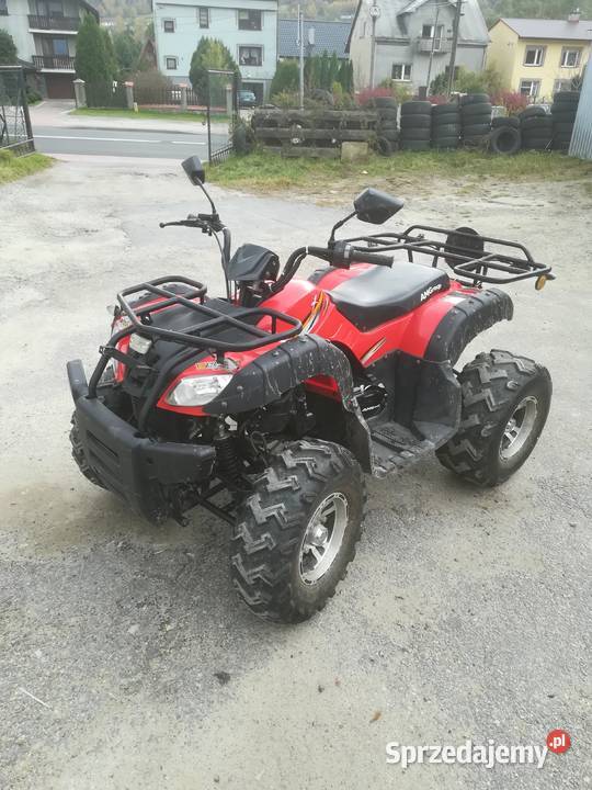 BASHAN BS200AU11B małopolskie Sucha Beskidzka