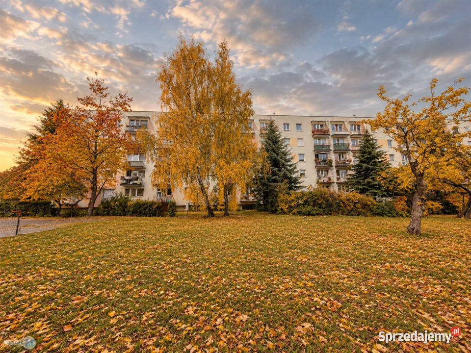 Mieszkanie Kielce 522m2 3 pokoje
