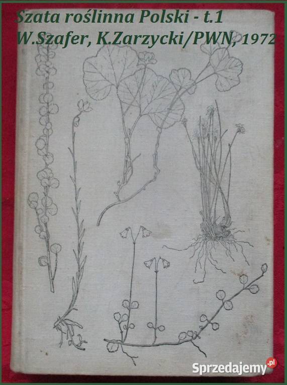 Szata roślinna Polski Szafer roślinnośćPolska Łódź