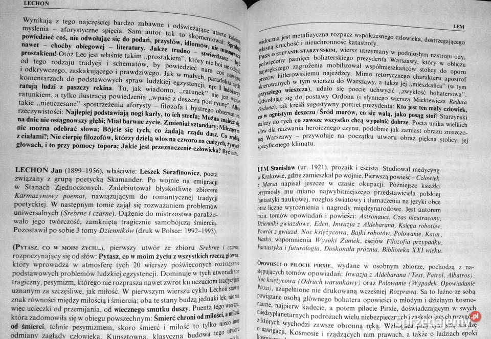 Słownik pisarzy lektur i terminów literackich Rok wydania 1996 Chełm