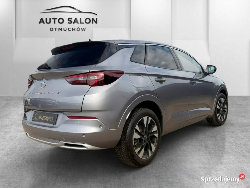 Opel Grandland FUL LED skóra NAWI automat8 gniazdo AUX opolskie Otmuchów