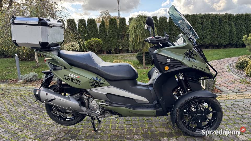 QV3 Quadro Edition Edelweiss 3503 Działdowo