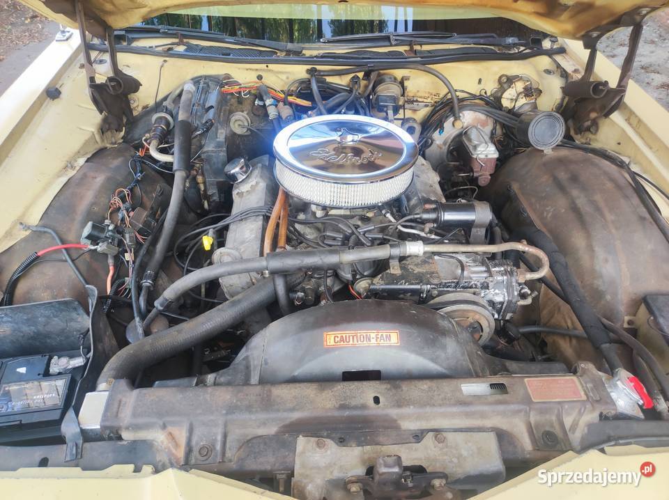 Ford LTD 1974 big block Malbork