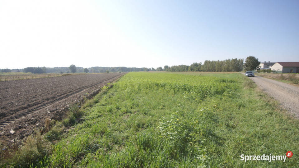 Działka rolno budowlana 96a Rudka Gołębska lubelskie sprzedam