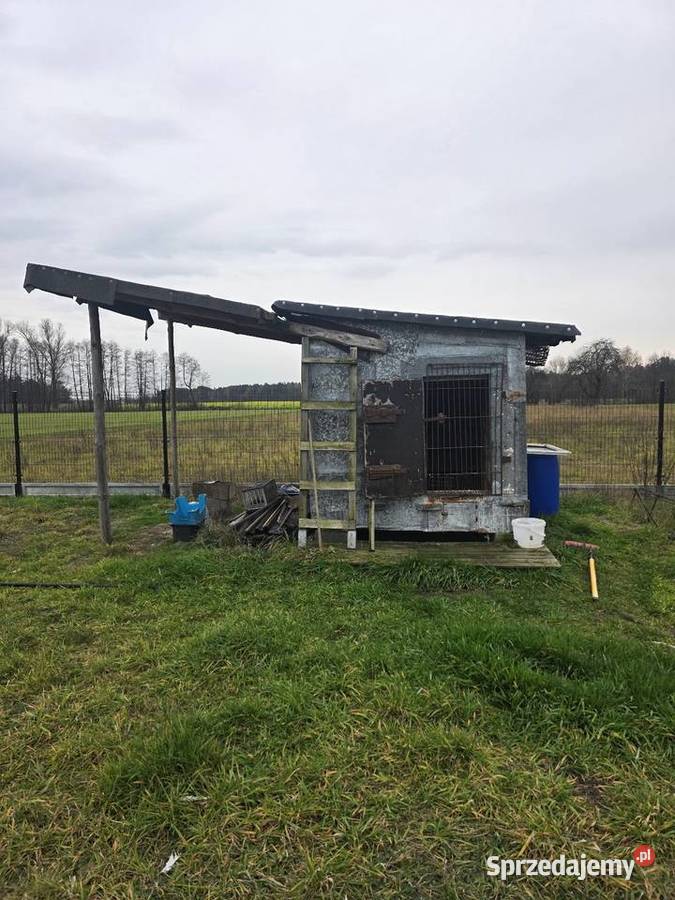 Golebnik gotowy do uzytku mazowieckie Obrąb sprzedam