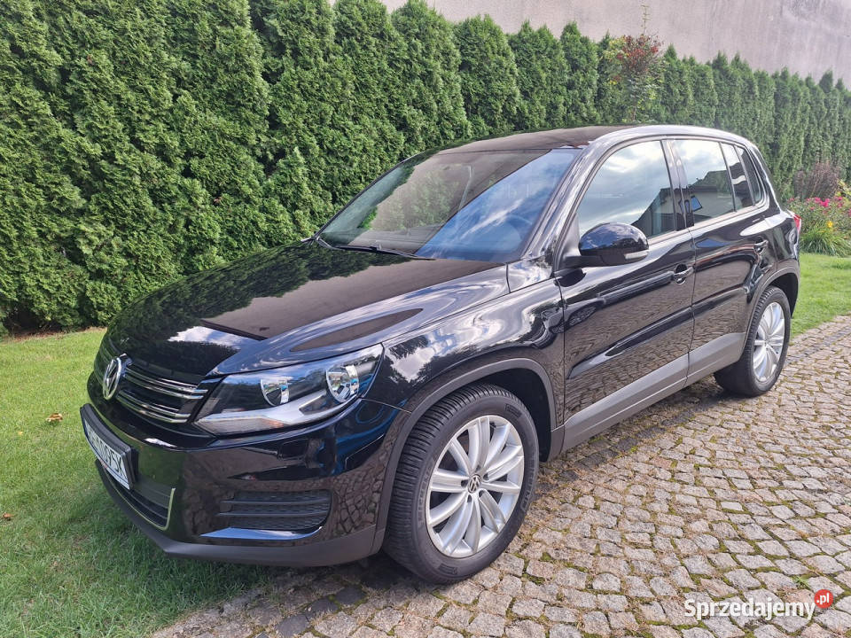 Volkswagen Tiguan BlueMotion Technology Trend Tiguan Siewierz