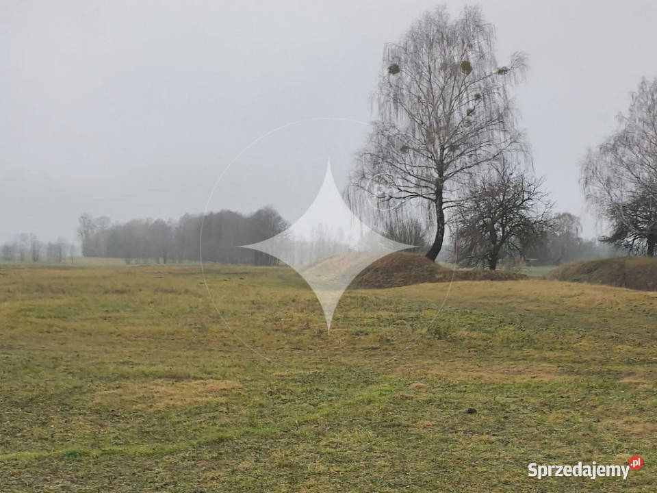 Ziemia rolna o pow 39 Ha w gminie Terespol Murawiec sprzedam