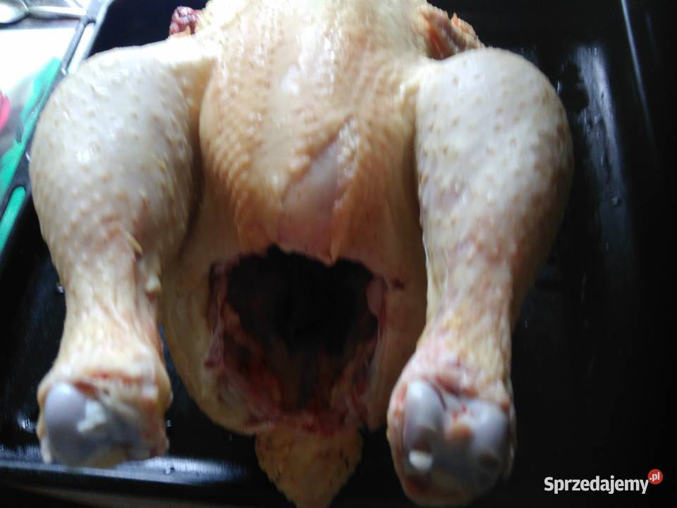 Sprzedam tuszki kurczak brojler a także żywe Słupca sprzedam